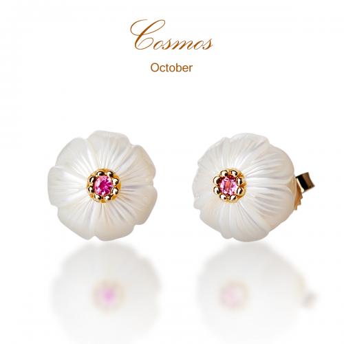 Cosmos Pearl Flower